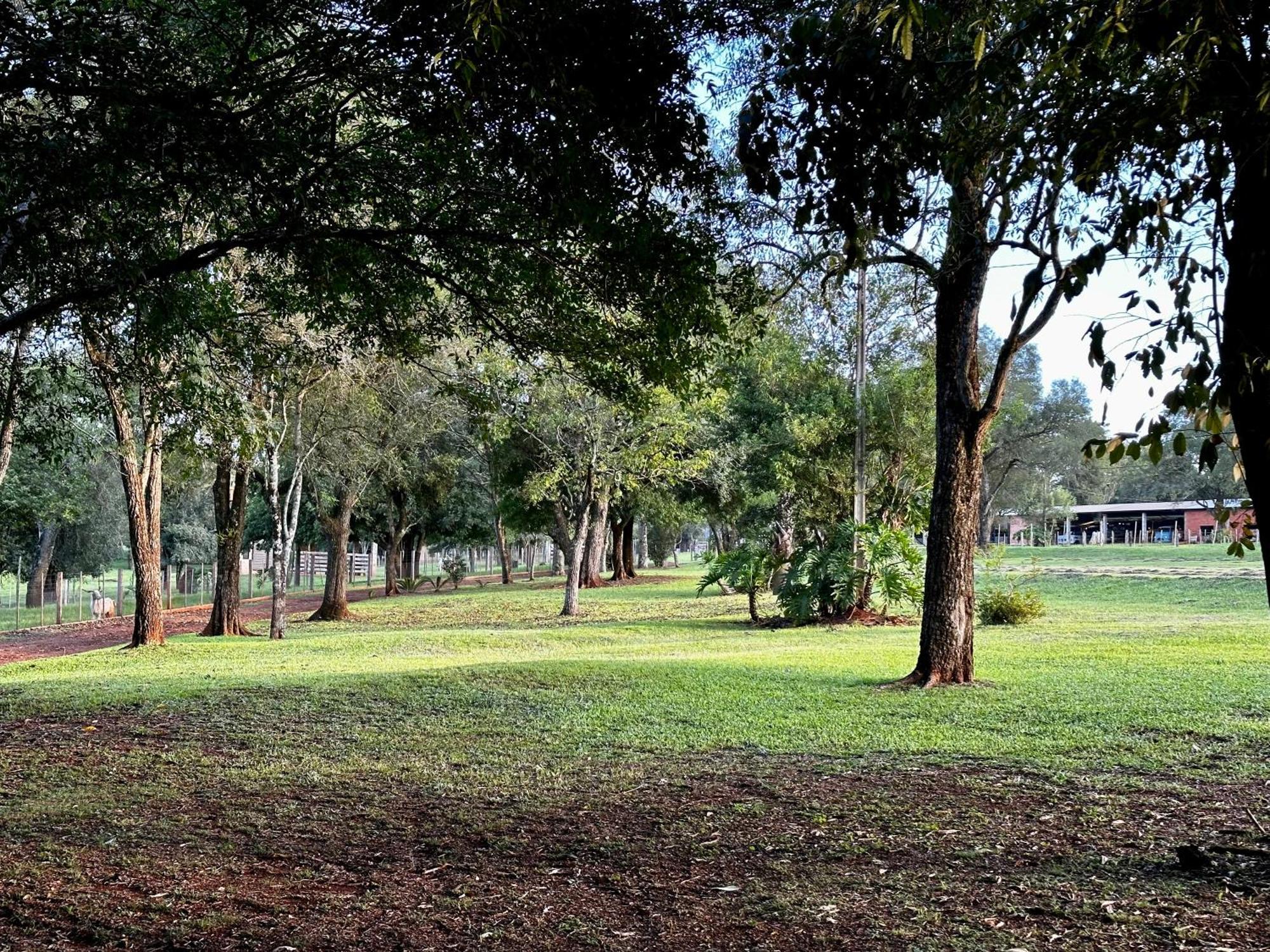 Parque Hotel Manantial Hohenau Exterior foto